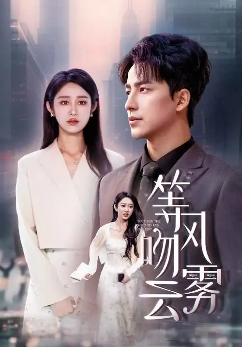 山河故人帖 剧集海报